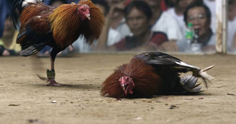 Đối thủ đã gặp – Sức mạnh thực sự nằm ở chất lượng trận đấu