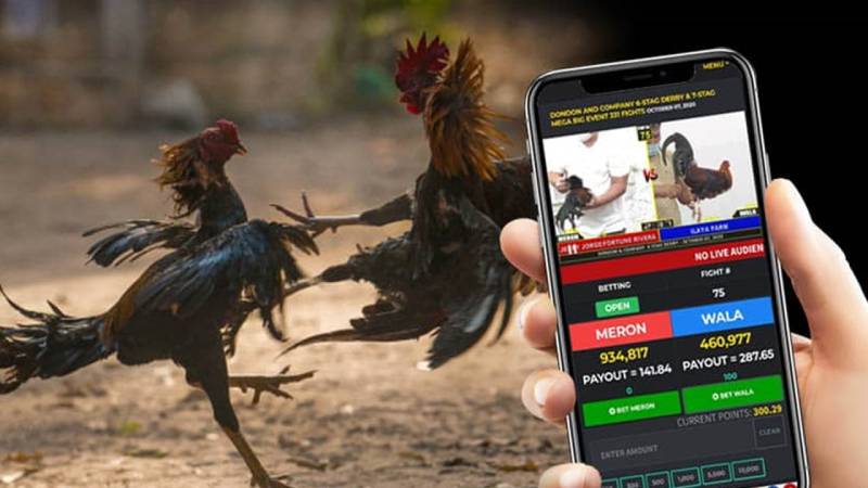 789BET - đăng nhập 789BET.COM trang chủ 789 Bet mới nhất 6 Phân Tích Tỷ Lệ Kèo Đá Gà Chọi - Đọc Kèo Chuẩn, Bắt Tiền Chắc