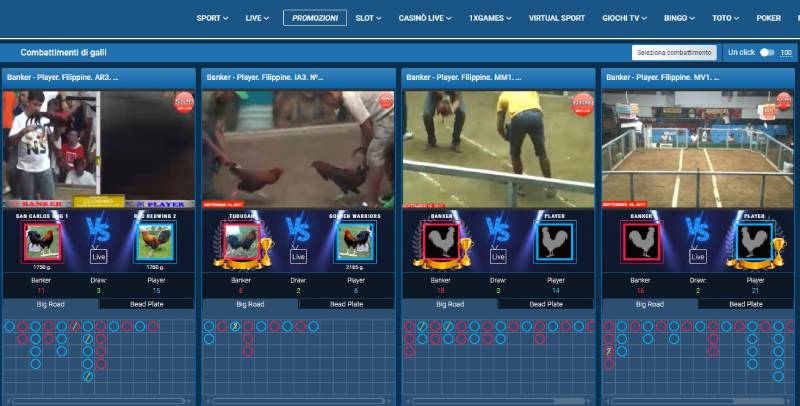 Tỷ lệ kèo đá gà chọi là gì? Vì sao phải đọc kèo cho chuẩn?