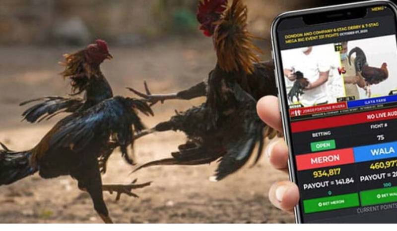 Xem chuyển động dòng tiền trước giờ G